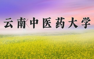2025年云南中医药大学在河南计划招生人数（附学费及专业录取分)