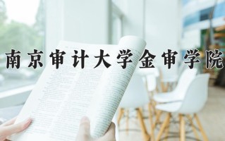 2024南京审计大学金审学院录取分数线：浙江最低498分