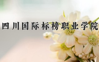 2025年四川国际标榜职业学院在四川计划招生人数（附学费及专业录取分)