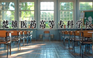 2024楚雄医药高等专科学校录取分数线，重庆录取最低分180