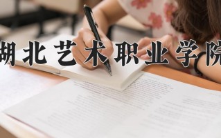 湖北艺术职业学院学费多少钱一年：5000-6500元/年（2025填报参考）