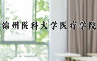 2025年锦州医科大学医疗学院在四川计划招生人数（附学费及专业录取分)
