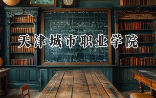 天津城市职业学院2024在山东录取分数线是多少？最低433分/最高466分