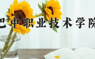 2025年巴中职业技术学院在河南计划招生人数（附学费及专业录取分)