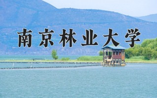 南京林业大学全国排名及2024年最低录取分数线