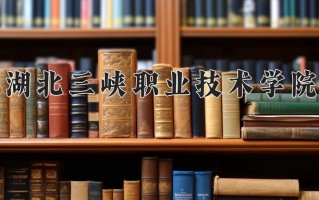 2024年湖北三峡职业技术学院招生章程，附办学层次和录取规则