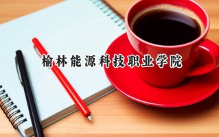 榆林能源科技职业学院2024在青海录取分数线是多少？最低253分/最高326分