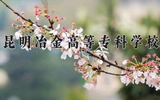 2025年昆明冶金高等专科学校在四川计划招生人数（附学费及专业录取分)