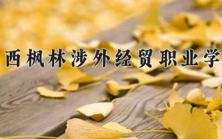 2024年江西枫林涉外经贸职业学院招生章程，附办学层次和录取规则