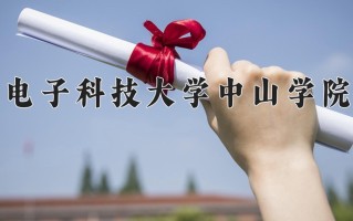 2024年电子科技大学中山学院招生章程，附办学层次和录取规则