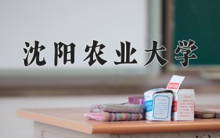 2024年沈阳农业大学招生章程，附办学层次和录取规则