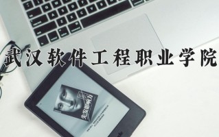 武汉软件工程职业学院一年学费多少钱及各专业的收费标准(2025参考）