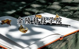 金陵科技学院2024在青海录取分数线是多少？最低363分/最高429分