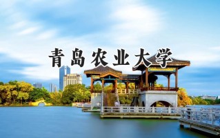 青岛农业大学2024在上海录取分数线是多少？最低406分/最高440分