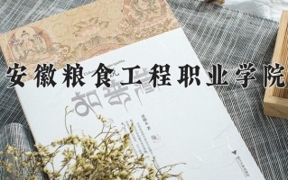 2025年安徽粮食工程职业学院在河南计划招生人数（附学费及专业录取分)