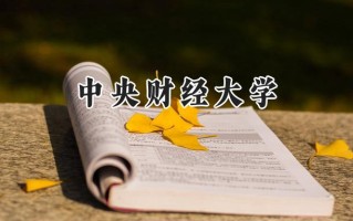 2024中央财经大学录取分数线：陕西最低602分