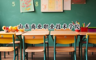 2024山东商业职业技术学院录取分数线：山西最低293分