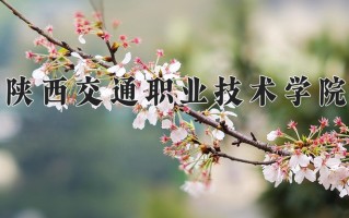 2025年陕西交通职业技术学院在河南计划招生人数（附学费及专业录取分)