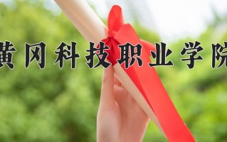 2024年黄冈科技职业学院招生章程，附办学层次和录取规则
