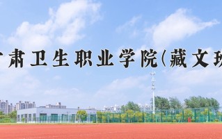2024年甘肃卫生职业学院(藏文班)录取分数线，青海最低438分
