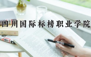 2024年四川国际标榜职业学院招生章程，附办学层次和录取规则