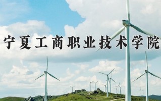 宁夏工商职业技术学院一年学费多少钱及各专业的收费标准(2025参考）