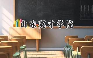 2024山东英才学院录取分数线：陕西最低270分