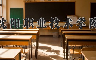 2025年沈阳职业技术学院在河南计划招生人数（附学费及专业录取分)