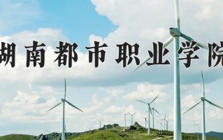 2024年湖南都市职业学院招生章程，附办学层次和录取规则