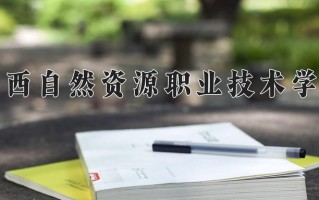 2025年广西自然资源职业技术学院在四川计划招生人数（附学费及专业录取分)