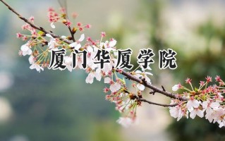 2024厦门华厦学院录取分数线：陕西最低385分