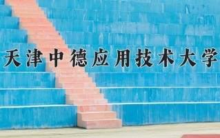 2024年天津中德应用技术大学招生章程，附办学层次和录取规则