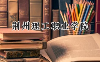 荆州理工职业学院2024在江苏录取分数线是多少？最低229分/最高376分
