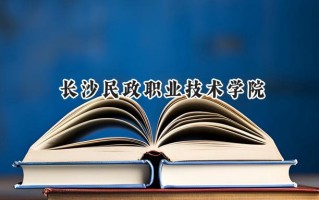 长沙民政职业技术学院2024在青海录取分数线是多少？最低326分/最高389分
