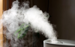 加湿器不如一盆水是真的吗？冬季加湿真相揭秘！