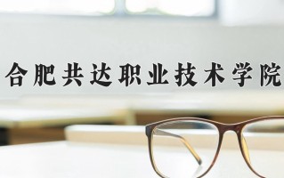 合肥共达职业技术学院一年学费多少钱及各专业的收费标准(2025参考）