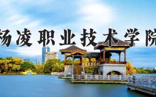 2024年杨凌职业技术学院招生章程，附办学层次和录取规则