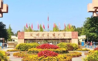 成都中医药大学2024年各学科排名一览表！附教育部评级比例
