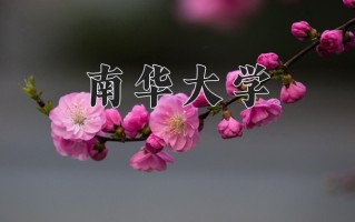 2025年南华大学在河南计划招生人数（附学费及专业录取分)