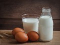 高蛋白的食物都有哪些，多样食材满足身体需求