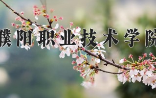 2024年濮阳职业技术学院招生章程，附办学层次和录取规则