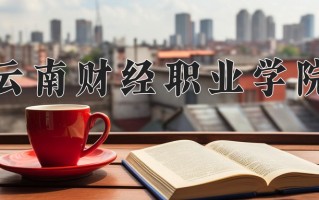 2024年云南财经职业学院招生章程，附办学层次和录取规则