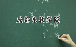 2024成都东软学院录取分数线：河南最低444分