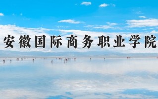 2024年安徽国际商务职业学院招生章程，附办学层次和录取规则