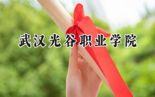 2024武汉光谷职业学院录取分数线：江苏最低244分