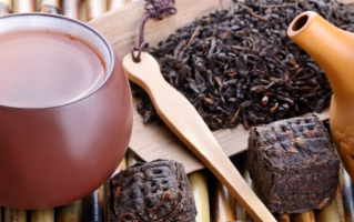 普洱茶属于哪类茶？深度解析它的茶类归属！