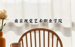 南京视觉艺术职业学院2024在江苏录取分数线是多少？最低234分/最高412分