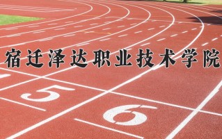 2025年宿迁泽达职业技术学院在新疆计划招生人数（附学费及专业录取分)