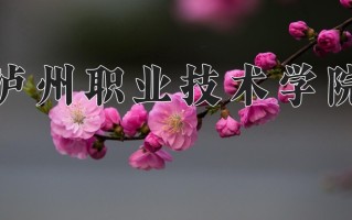 2024年泸州职业技术学院招生章程，附办学层次和录取规则