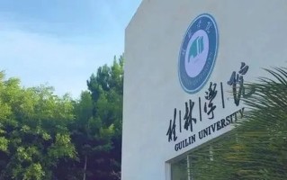 广西民办二类大学排名-2024年广西民办二类最新高校排行榜